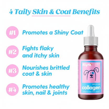 Klyra Liquid Collagen