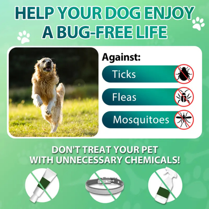 Klyra Flea & Tick Support